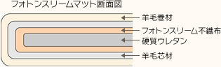 �t�H�g���X���[���}�b�g�f�ʐ}